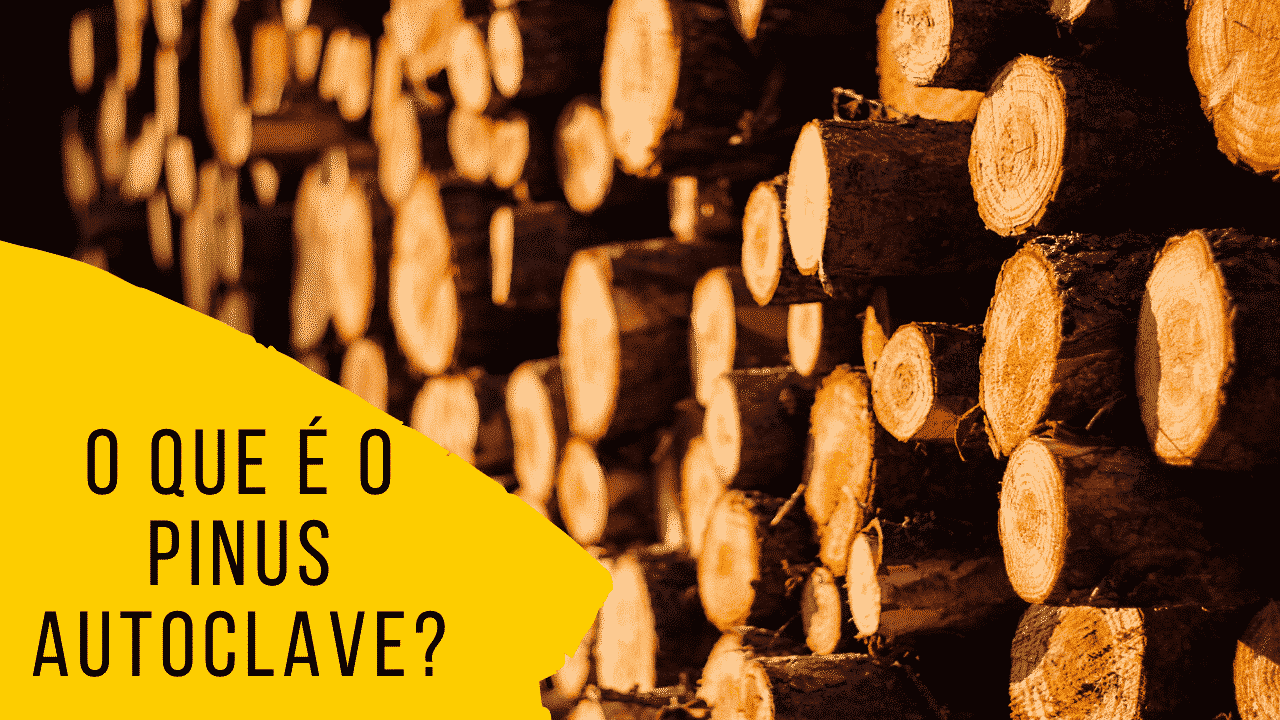 O que é o pinus autoclave