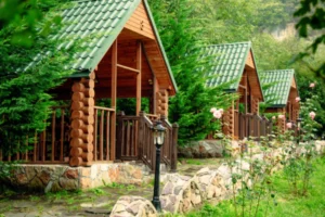 Projeto casa de madeira em uma floresta